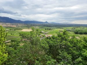Habitación Amor y Locura